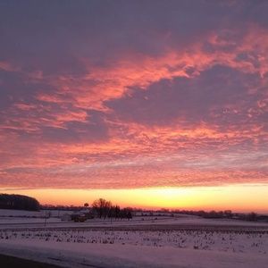 Meet your Posher, Sharon